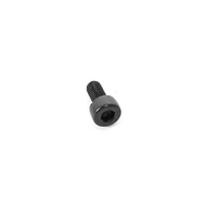 ARC 3x6mm Cap Screw (10) R105300