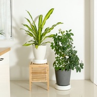 Easy Round Plant Pot Stand (Medium)