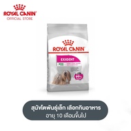 Royal Canin Mini Exigent โรยัล คานิน อาหารเม็ดสุนัขโต พันธุ์เล็ก ช่างเลือกอาหาร อายุ 10 เดือนขึ้นไป (กดเลือกขนาดได้ Dry Dog Food)