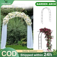 【TC】Garden Arch 2.4M High Rust Proof Iron Climbing Flower Stand Wedding Pergola Outdoor Gerbang Bung