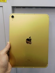 ipad 10 64gb wifi+流動網絡