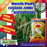 Benih bibit padi Ciherang Jumbo Bersertifikat label ungu