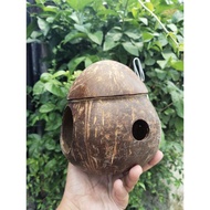 GLODOK BIRD HOUSE NATURAL COCONUT SHELL BIRD HOUSE