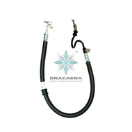 HONDA CRV S9A POWER STEERING HOSE