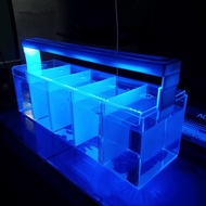 AQUARIUM AKRILIK 5 RUANG 60X15X20 CM - SEKAT BISA LEPAS - 3 MM