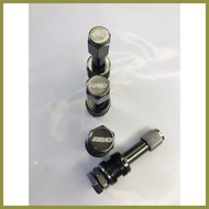 ۩ ◬ ✸ Gun Metallic Rays Pito Tubeless tire valve for motocycle and Cars