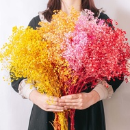 Dried Baby Flowers, Dried Flowers for decor, home decoration, handmade gifts