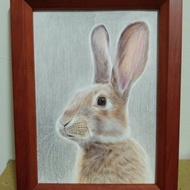 擺設 / 兔子 / 色鉛筆畫 / 原稿 / 含框