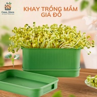Caxo bean sprout growing tray, Soil-free growing tools Hydroponic germination plate, Reusable sprout