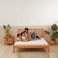 【可客製】透氣可水洗床墊/高8CM