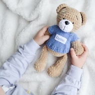 Personalized teddy bear for newborn baby boy or girl, teddy bear stuffed toy