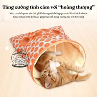 Rustling Bag "2 in 1" for Cats