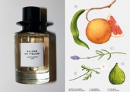 Zara Jo Loves Balade De Figuier Perfume 香水