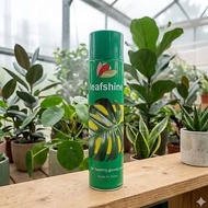 SPRAY LEAF SHINE ( PENGILAT DAUN ) 600ML  ADADAUN