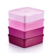 Tupperware Large Square Away Set (4pcs) - Airtight food storage container