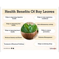DAUN SALAM/Dried Bay Leaves