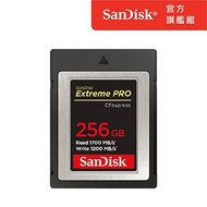 SanDisk CFexpress 256G 記憶卡 SDCFE-256G-GN4NN燦坤線上購物