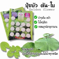 ปุ๋ยบัว ปุ๋ยบอนสี ปุ๋ยไม้น้ำ Golden Flowers 14เม็ด มี2สูตร สูตรเร่งต้น และเร่งดอก