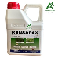 Kensapax 4L|Racun ametryn|Tanaman tebu|Rumput sambau