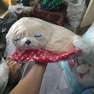 Shiba Inu Dog Doll Sleep Carpet Amuse