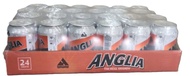 ANGLIA SHANDY 320MLX24TIN expire 12/25 (NON HALAL)