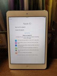 iPad mini 2