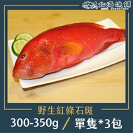 【北海漁鋪】 野生紅條石斑300-350g/包*3包