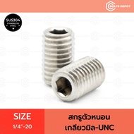 Stainless Steel Worm Screw 1/4"-20 Class 12.9 Thread-UNC I SUS304