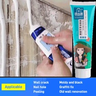 White Wall Putty for Home Use Anti Mold and Crack Filler