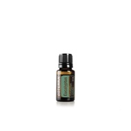 Dottera eucalyptus eucalyptus Essential Oil