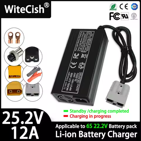 25.2V 10A 12A 28A Charger Smart Aluminum Case for 6S 22.2V Outdoor Li-ion Battery,Battery Pack Charg