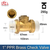 Sang Qiang PPR Fittings Double Union Check Valve Water pipe hot melt tap water meter Brass PPR Check