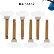 enhance disc polishing RA Composite Head