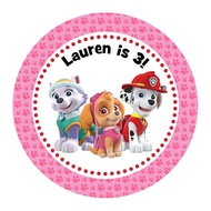 Paw patrol pink (skye) customized stickers