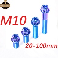 FLAWLESSTI M10x20-100 mm 1.25 Pitch Gr5Titanium Bolts CNC Bolts Exhaust Pipe Swing Arm T Post Steeri