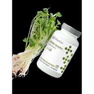 Shaklee Alfalfa Complex Premium Supplement - 330 Tablets