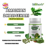 Bioherbs Moringa Plus Pegaga Original | High Manufacture | Healthy Product | Daun Kelor Pegaga | Dnd