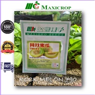 10g [Maxiseeds] F1 Hybrid Rock Melon 790 Seeds 优质 F1 网纹密瓜 790 种子 Biji Benih Premium F1 Rock Melon 790