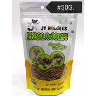 GF005 JY Hobbies MealWorm 50gram Sugar Glider Hamster Hedgehog Reptile Bird Fish Food Feed (Meal Wor
