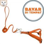 Harness Y Tali Penuntun Kucing Musang Tali Tuntun Hewan