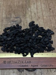 極黑精篩黑火山石鋪面石 顆粒土鋪面墊底 黑色火山石造景石混合拌土介質多肉塊根植物仙人掌仙人球龍舌蘭象牙宮象漆 鋪面 Aqua水族魚缸