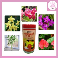 Fertilizer 10-52-17 + TE Water Soluble Nutrition Solution 100G | THAILAND ORCHID FERTILIZER FOR ORCH