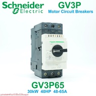 GV3P65 Schneider Electric GV3P65 GV3P Motor Circuit Breakers Breaker With Built-In Overload