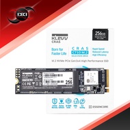 Klevv SSD CRAS C710 256GB M.2 2280 NVME PCLE GEN3 X4 ORIGINAL BEST QUALITY