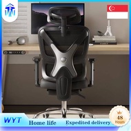 Office Chair Special Ergonomic Chair Computer Chair Student's Chair Long Sitting Home Comfortable Ga