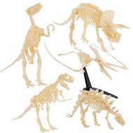 6 Pieces Dinosaur Fossil Skeleton Building Kit Detailed Dinosaur Skeleton Kit Fossil Reproduction Pr