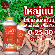 ปุ๋ยระเบิดหัวมัน 0-25-30 ปุ๋ยเคมีน้ำฉีดทางใบมันสำปะหลัง เร่งขยายหัว เพิ่มน้ำหนัก เพิ่มแป้ง