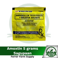 Amoxtin 5g/20g Sagupaan