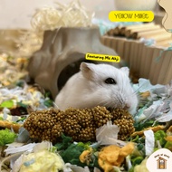 Yellow Millet for Hamsters Yellow Millet Sprays for Birds