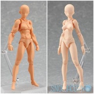 Max factory figma archetype 01 男素體 he & 女素體 she (flesh color 肉色 膚色 Ver.) Figure 全2款